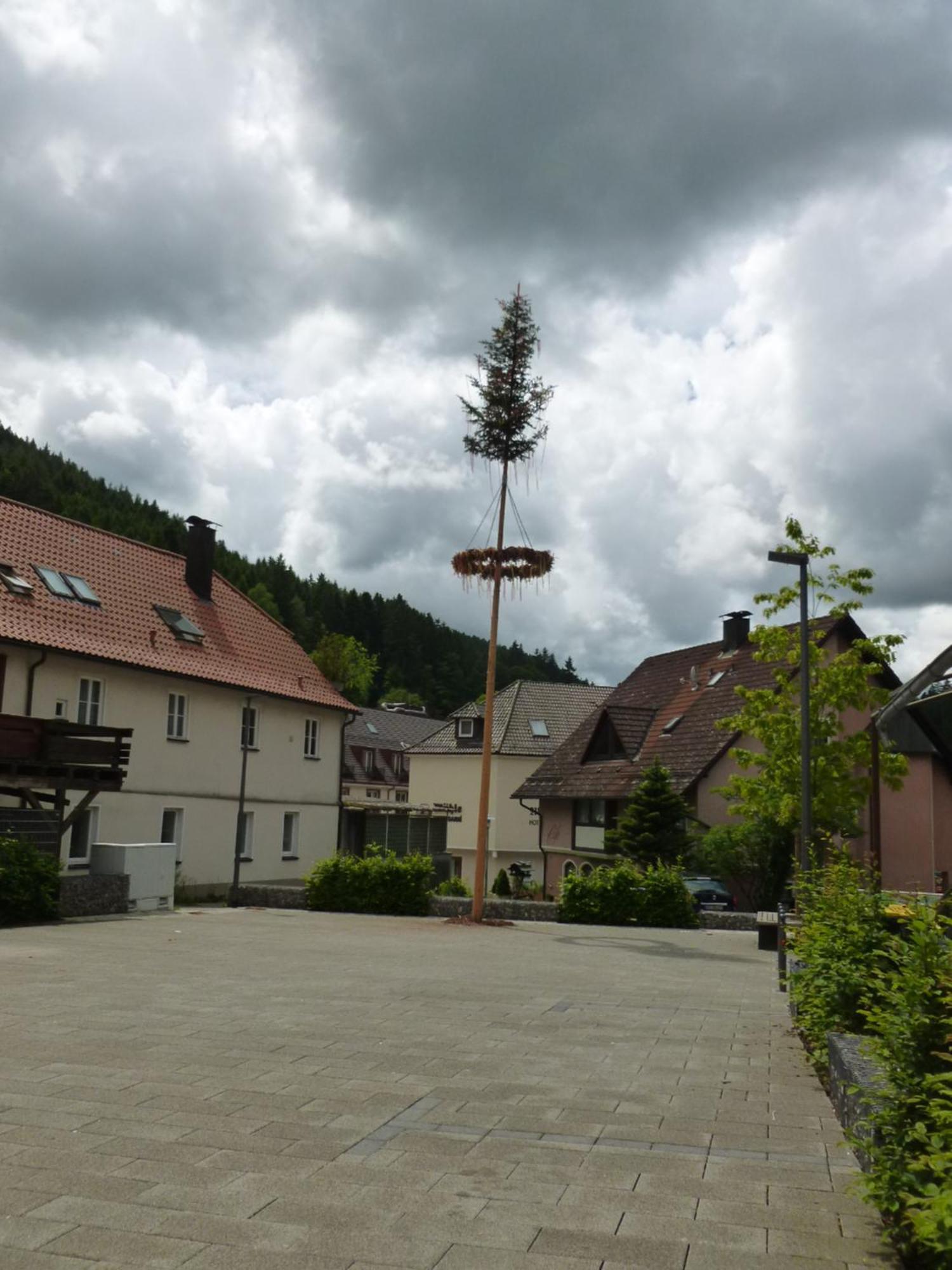 Gasthaus Waldhorn Bad Teinach-Zavelstein Exteriör bild